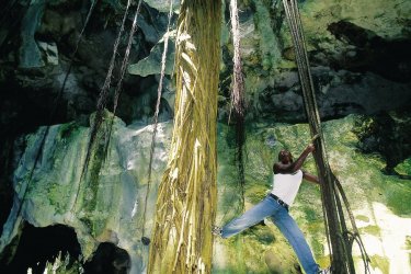 Grotte du parc national Los Haïtises. - Sir Pengallan - Iconotec