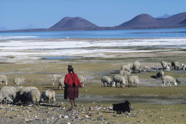 Salar de Coipasa. - Thierry Lauzun - Iconotec