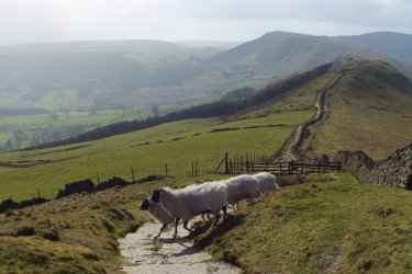 Le sentier entre Lose Hill et Mam Tor. - Maxence PEIGNE