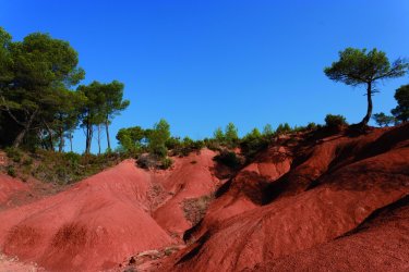 Le Tholonet - Lawrence BANAHAN - Author's Image