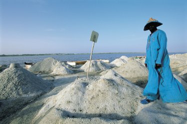 Salines du lac Rose. - Tom Pepeira - Iconotec