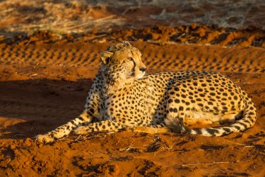 Omaruru. - Benny Marty - Shutterstock.com