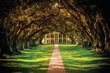 Site historique de Oak Alley Plantation. - zodebala
