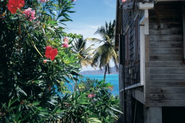 Hibiscus égayant une vieille maison coloniale en bois. - Atamu RAHI - Iconotec