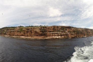 L'Île Bonaventure au large de Percé et sa colonie de fous de Bassan. - Ida JONCOUR