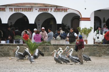 Village de Paracas. - Stéphan SZEREMETA