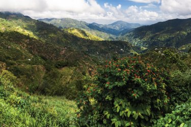 Blue And John Crow Mountains National Park