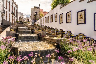 Paseo de Canarias à Firgas. - Balate Dorin - iStockphoto.com