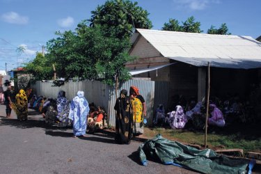 Dans les environs de Mamoudzou. - Stéphan SZEREMETA