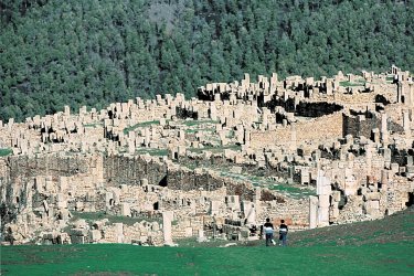Site de Djemila. - Sébastien CAILLEUX