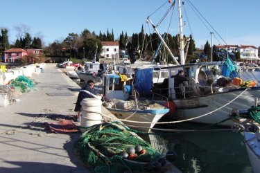 Port de pêche de Pineta. - Stéphan SZEREMETA
