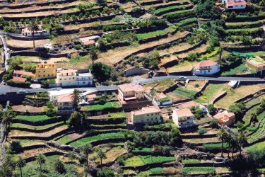 Valle Gran Rey. - Author's Image