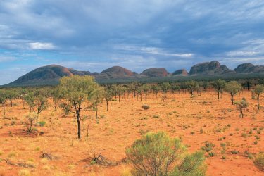 Parc national de l'Uluru. Alamer - Iconotec