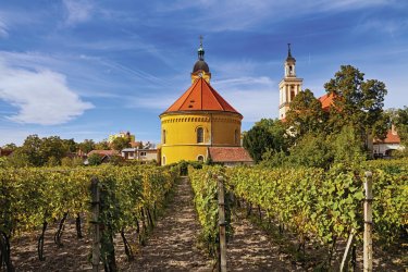 Route des vins des Petites Carpates. - irakite