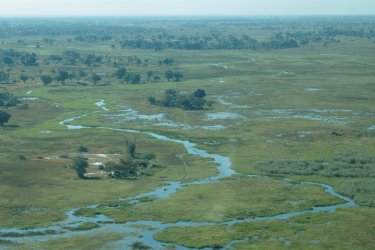 Vue aérienne du delta de l'Okavango. - Marie Gousseff / Julien Marchais