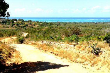 Route de Murrebue, Pemba. - Elisa Vallon