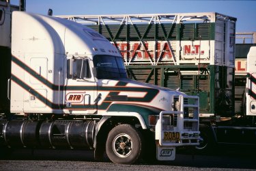 Camions sur la Darwin Road. - Henri Conodul - Iconotec