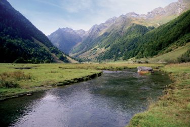 Le Soum de Bassia du Hoo PHOVOIR