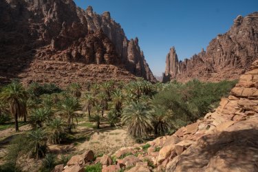 Wadi al-Disah. Felix Friebe - Shutterstock.com