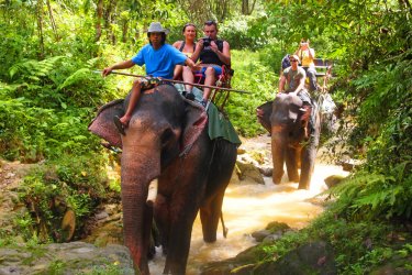Trekking à dos d'éléphant dans le parc national de Khao Sok. - Patryk Kosmider - Shutterstock.com