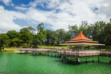 Macritchie Reservoir. - Filipe.Lopes - Shutterstock.com