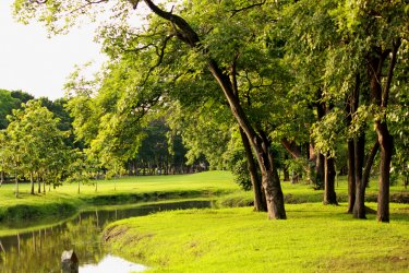 Hyde park et son plan d'eau. - jaranya