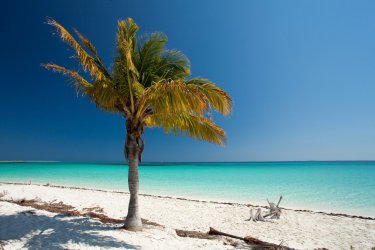 Playa de Cayo Largo. - Palino666 - Fotolia