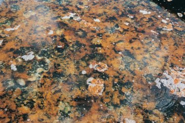 Sources d'eaux chaudes de Cajamarca. - Jeanne RANCIC
