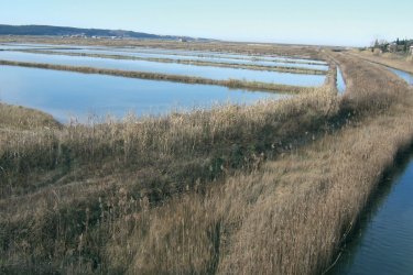 Marais salants à la frontière croate. - Stéphan SZEREMETA