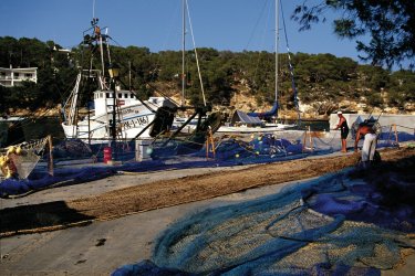 Port de pêche de Cala Santanyi. - Author's Image