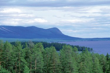Paysage à Saxnäs. - Thierry Lauzun - Iconotec