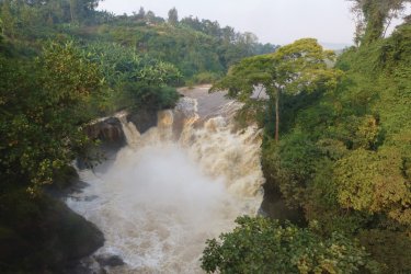 Chutes de Rusumo. François JANNE D'OTHÉE