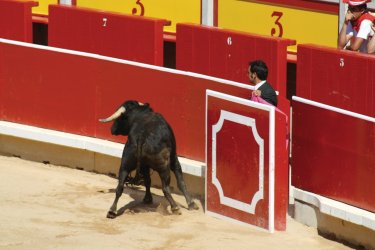 Corrida lors des fêtes de San Fermin. - Jose Manuel Dobarro - Fotolia