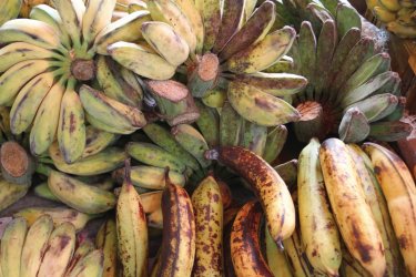 Bananes sur le marché alimentaire de Serian - Stéphan SZEREMETA