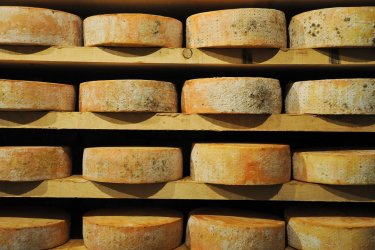Etages de Fontina, fromage de la vallée d'Aoste. - Ghischeforever - Shutterstock.com