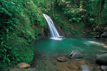 Cascade aux écrevisses. - Cali - Iconotec