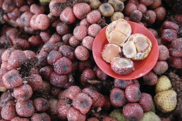 Marché alimentaire de Serian - Stéphan SZEREMETA