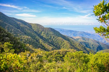 Les Blue Mountains. Jamaica Tourist Board