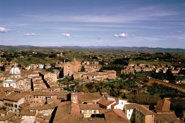 Panorama sur Sienne. - Author's Image