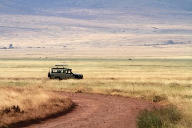 Safari dans l'aire de conservation du Ngorongoro - Stephan SZEREMETA