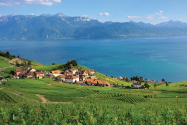Lac Léman. luxiangjian4711 - istockphoto.com