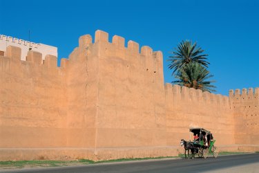 Remparts de Taroudant. - Author's Image