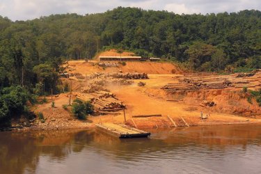 Mise à l'eau du bois à Ndjolé. - Bernadette VOISIN