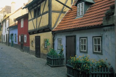 Ruelle d'Or. Alamer - Iconotec
