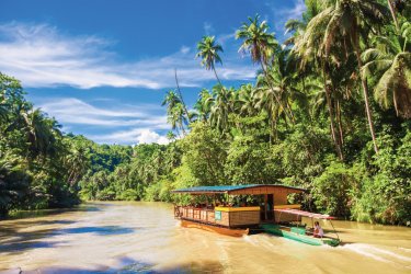 Rivière Bohol. - Travnikovstudio - iStockphoto