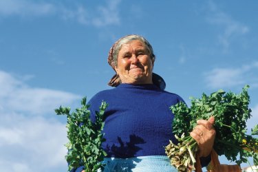 Paysanne au marché de Šibenik. - Author's Image