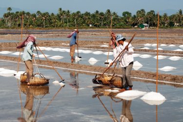 Salines entre Kep et Kampot. - Nicolas HONOREZ