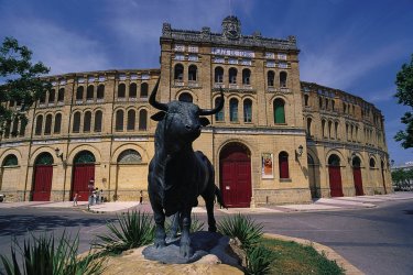 Real Plaza de Toros. - Author's Image