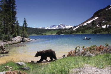 Tenaya Lake au Yosemite National Park. - Bakstad - iStockphoto.com
