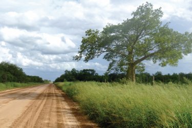 Sur la route de Campo María. - Nicolas LHULLIER